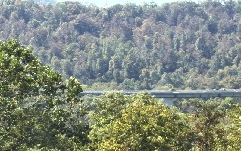 00 Junior Road, Junior, West Virginia 26275, ,Lots/land,For Sale,Junior,10161918 00 Junior Road, Junior, West Virginia 26275, ,Lots/land,For Sale,Junior,10161918