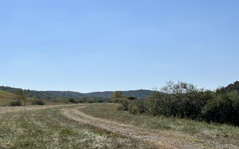 00 Junior Road, Junior, West Virginia 26275, ,Lots/land,For Sale,Junior,10161918 00 Junior Road, Junior, West Virginia 26275, ,Lots/land,For Sale,Junior,10161918