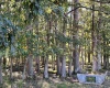 00 Junior Road, Junior, West Virginia 26275, ,Lots/land,For Sale,Junior,10161918 00 Junior Road, Junior, West Virginia 26275, ,Lots/land,For Sale,Junior,10161918