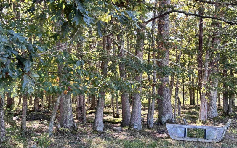 00 Junior Road, Junior, West Virginia 26275, ,Lots/land,For Sale,Junior,10161918 00 Junior Road, Junior, West Virginia 26275, ,Lots/land,For Sale,Junior,10161918
