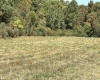 00 Junior Road, Junior, West Virginia 26275, ,Lots/land,For Sale,Junior,10161918 00 Junior Road, Junior, West Virginia 26275, ,Lots/land,For Sale,Junior,10161918