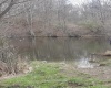 00 Junior Road, Junior, West Virginia 26275, ,Lots/land,For Sale,Junior,10161918 00 Junior Road, Junior, West Virginia 26275, ,Lots/land,For Sale,Junior,10161918