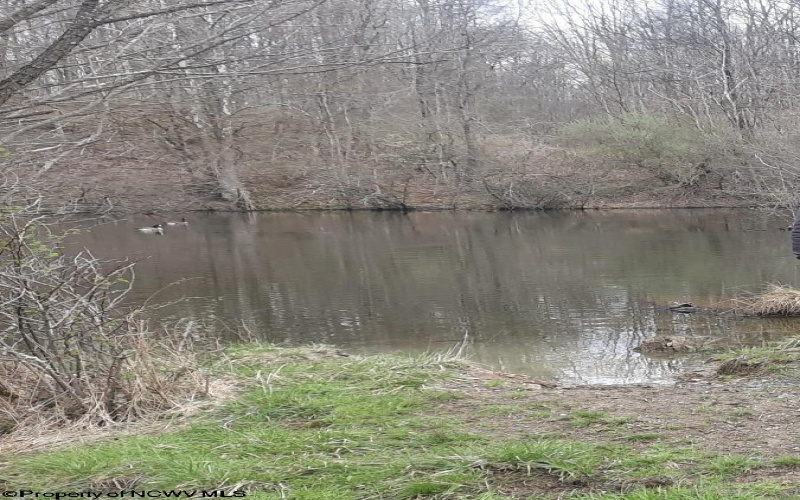 00 Junior Road, Junior, West Virginia 26275, ,Lots/land,For Sale,Junior,10161918 00 Junior Road, Junior, West Virginia 26275, ,Lots/land,For Sale,Junior,10161918
