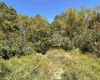 00 Junior Road, Junior, West Virginia 26275, ,Lots/land,For Sale,Junior,10161918 00 Junior Road, Junior, West Virginia 26275, ,Lots/land,For Sale,Junior,10161918