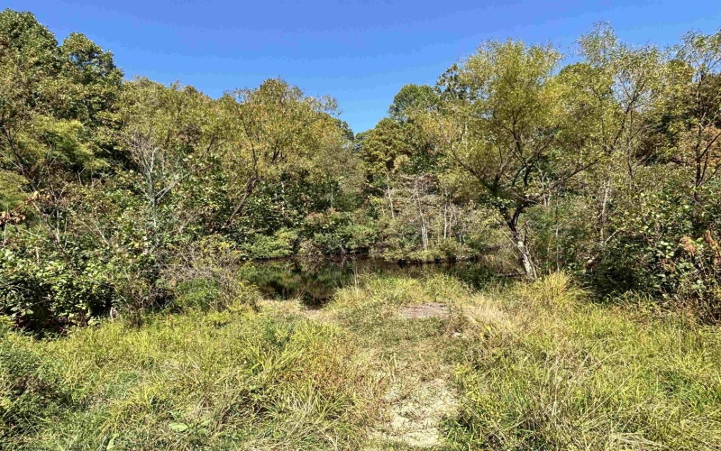 00 Junior Road, Junior, West Virginia 26275, ,Lots/land,For Sale,Junior,10161918 00 Junior Road, Junior, West Virginia 26275, ,Lots/land,For Sale,Junior,10161918