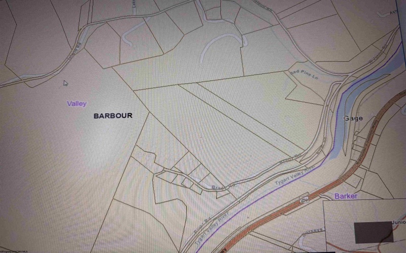 00 Junior Road, Junior, West Virginia 26275, ,Lots/land,For Sale,Junior,10161918 00 Junior Road, Junior, West Virginia 26275, ,Lots/land,For Sale,Junior,10161918