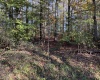 00 Junior Road, Junior, West Virginia 26275, ,Lots/land,For Sale,Junior,10161918 00 Junior Road, Junior, West Virginia 26275, ,Lots/land,For Sale,Junior,10161918