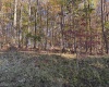 00 Junior Road, Junior, West Virginia 26275, ,Lots/land,For Sale,Junior,10161918 00 Junior Road, Junior, West Virginia 26275, ,Lots/land,For Sale,Junior,10161918