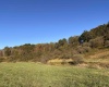 00 Junior Road, Junior, West Virginia 26275, ,Lots/land,For Sale,Junior,10161918 00 Junior Road, Junior, West Virginia 26275, ,Lots/land,For Sale,Junior,10161918