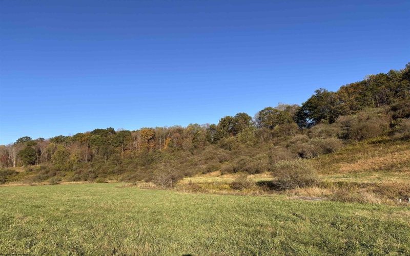 00 Junior Road, Junior, West Virginia 26275, ,Lots/land,For Sale,Junior,10161918 00 Junior Road, Junior, West Virginia 26275, ,Lots/land,For Sale,Junior,10161918