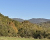 00 Junior Road, Junior, West Virginia 26275, ,Lots/land,For Sale,Junior,10161918 00 Junior Road, Junior, West Virginia 26275, ,Lots/land,For Sale,Junior,10161918