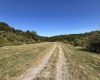 00 Junior Road, Junior, West Virginia 26275, ,Lots/land,For Sale,Junior,10161918 00 Junior Road, Junior, West Virginia 26275, ,Lots/land,For Sale,Junior,10161918