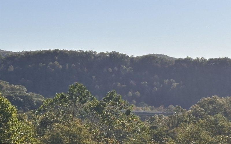 00 Junior Road, Junior, West Virginia 26275, ,Lots/land,For Sale,Junior,10161918 00 Junior Road, Junior, West Virginia 26275, ,Lots/land,For Sale,Junior,10161918