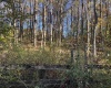 00 Junior Road, Junior, West Virginia 26275, ,Lots/land,For Sale,Junior,10161918 00 Junior Road, Junior, West Virginia 26275, ,Lots/land,For Sale,Junior,10161918