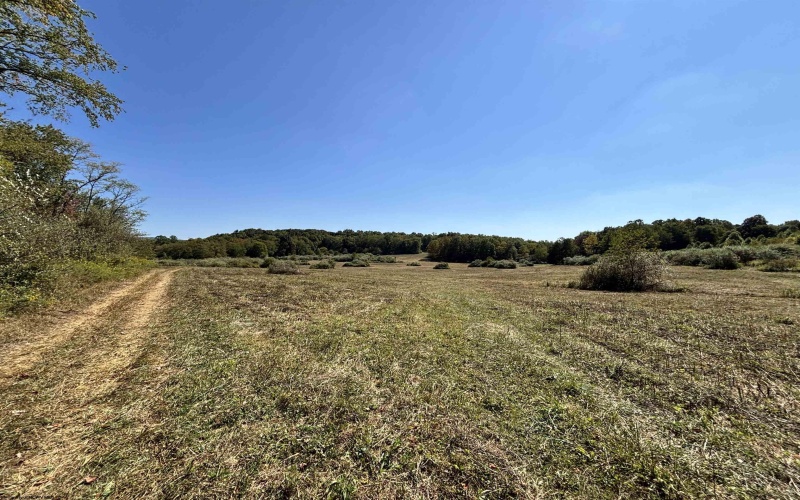 00 Junior Road, Junior, West Virginia 26275, ,Lots/land,For Sale,Junior,10161918 00 Junior Road, Junior, West Virginia 26275, ,Lots/land,For Sale,Junior,10161918