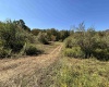 00 Junior Road, Junior, West Virginia 26275, ,Lots/land,For Sale,Junior,10161918 00 Junior Road, Junior, West Virginia 26275, ,Lots/land,For Sale,Junior,10161918