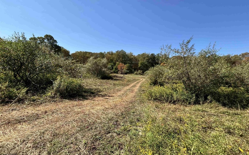 00 Junior Road, Junior, West Virginia 26275, ,Lots/land,For Sale,Junior,10161918 00 Junior Road, Junior, West Virginia 26275, ,Lots/land,For Sale,Junior,10161918