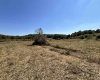 00 Junior Road, Junior, West Virginia 26275, ,Lots/land,For Sale,Junior,10161918 00 Junior Road, Junior, West Virginia 26275, ,Lots/land,For Sale,Junior,10161918
