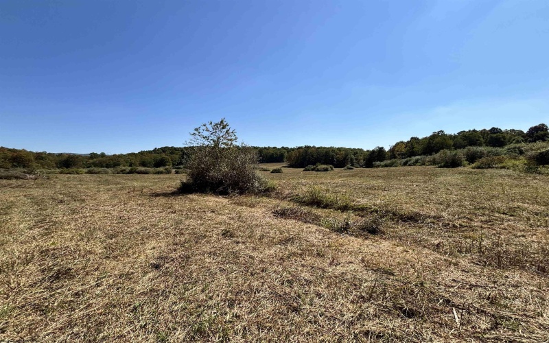 00 Junior Road, Junior, West Virginia 26275, ,Lots/land,For Sale,Junior,10161918 00 Junior Road, Junior, West Virginia 26275, ,Lots/land,For Sale,Junior,10161918