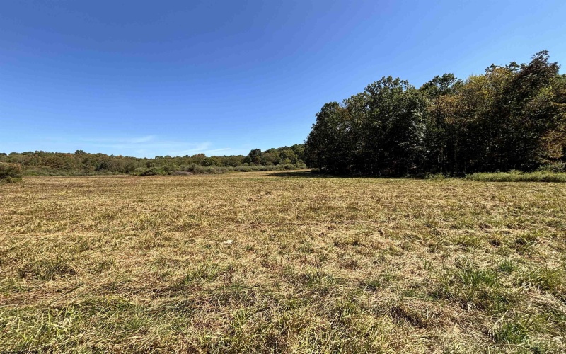 00 Junior Road, Junior, West Virginia 26275, ,Lots/land,For Sale,Junior,10161918 00 Junior Road, Junior, West Virginia 26275, ,Lots/land,For Sale,Junior,10161918
