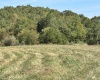 00 Junior Road, Junior, West Virginia 26275, ,Lots/land,For Sale,Junior,10161918 00 Junior Road, Junior, West Virginia 26275, ,Lots/land,For Sale,Junior,10161918