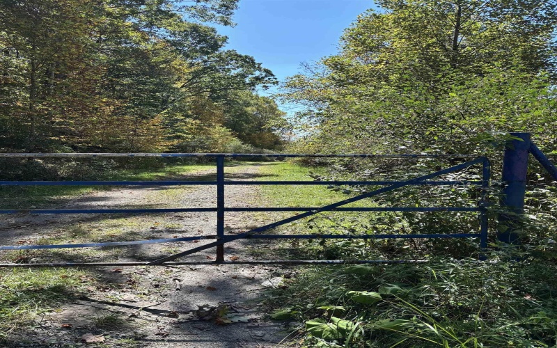 00 Junior Road, Junior, West Virginia 26275, ,Lots/land,For Sale,Junior,10161918 00 Junior Road, Junior, West Virginia 26275, ,Lots/land,For Sale,Junior,10161918