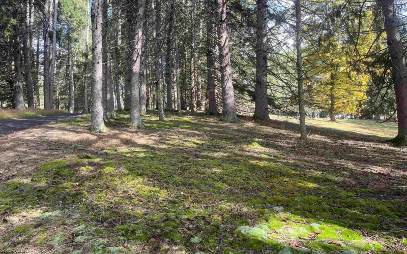 228 Right Freemans Creek Road, Weston, West Virginia 26452, 4 Bedrooms Bedrooms, 7 Rooms Rooms,2 BathroomsBathrooms,Single Family Detached,For Sale,Right Freemans Creek,10161927