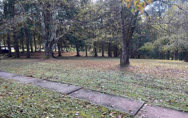 228 Right Freemans Creek Road, Weston, West Virginia 26452, 4 Bedrooms Bedrooms, 7 Rooms Rooms,2 BathroomsBathrooms,Single Family Detached,For Sale,Right Freemans Creek,10161927