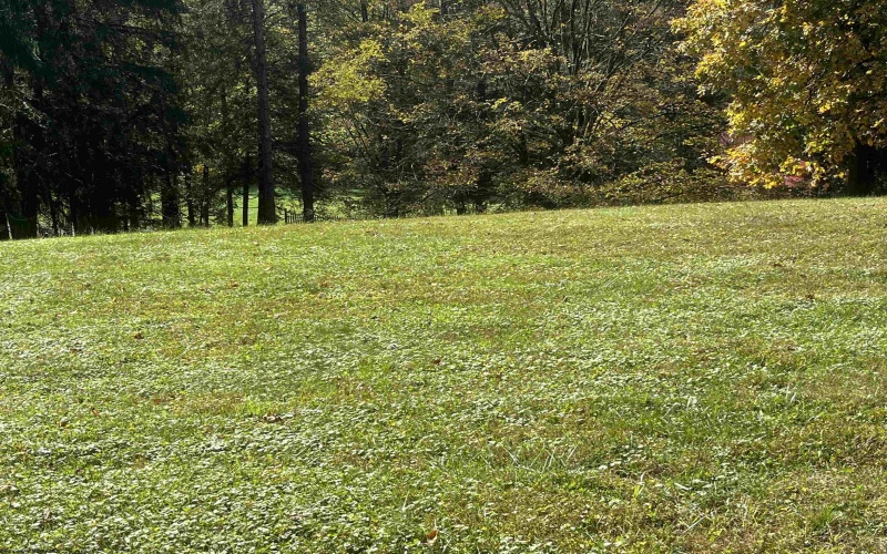 228 Right Freemans Creek Road, Weston, West Virginia 26452, 4 Bedrooms Bedrooms, 7 Rooms Rooms,2 BathroomsBathrooms,Single Family Detached,For Sale,Right Freemans Creek,10161927