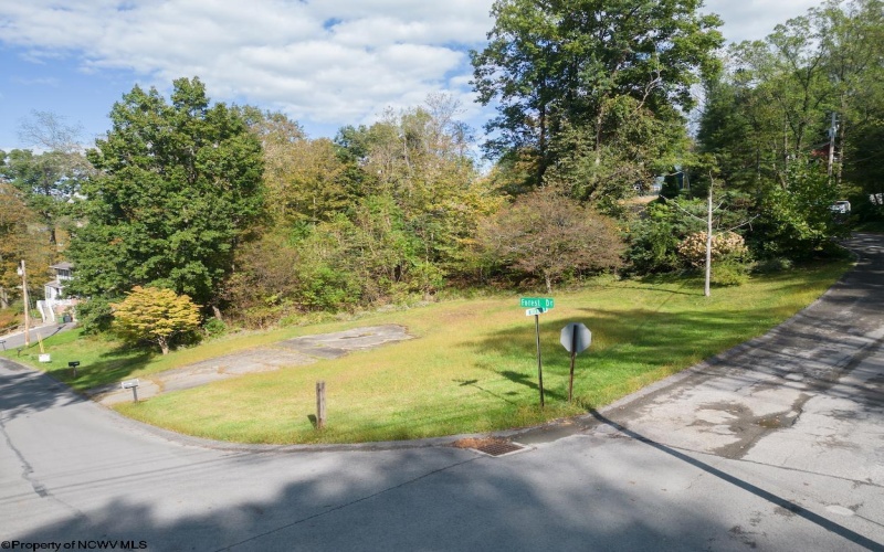 102 Forest Drive, Morgantown, West Virginia 26505, ,Lots/land,For Sale,Forest,10161937 102 Forest Drive, Morgantown, West Virginia 26505, ,Lots/land,For Sale,Forest,10161937