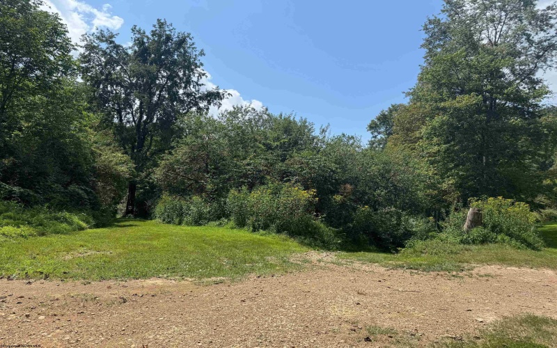 TBD East Location Road, Parsons, West Virginia 26505-000, ,Lots/land,For Sale,East Location,10161939 TBD East Location Road, Parsons, West Virginia 26505-000, ,Lots/land,For Sale,East Location,10161939