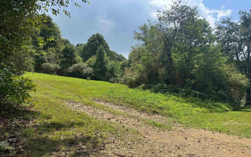 TBD East Location Road, Parsons, West Virginia 26505-000, ,Lots/land,For Sale,East Location,10161939 TBD East Location Road, Parsons, West Virginia 26505-000, ,Lots/land,For Sale,East Location,10161939