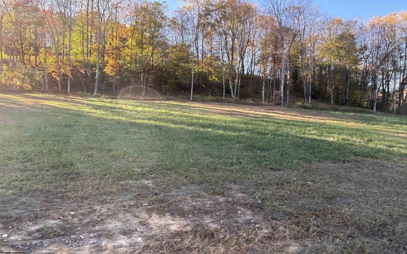 Lot 1 Island Road, Junior, West Virginia 26275, ,Lots/land,For Sale,Island,10161970 Lot 1 Island Road, Junior, West Virginia 26275, ,Lots/land,For Sale,Island,10161970