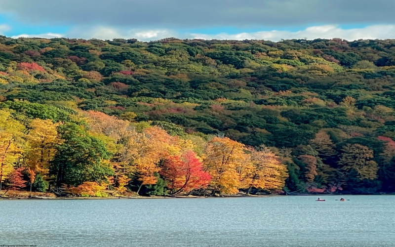 Lot 175 Aster Drive, Terra Alta, West Virginia 26764, ,Lots/land,For Sale,Aster,10161987