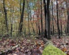 Lot 175 Aster Drive, Terra Alta, West Virginia 26764, ,Lots/land,For Sale,Aster,10161987