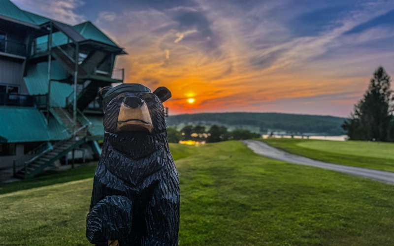 Lot 175 Aster Drive, Terra Alta, West Virginia 26764, ,Lots/land,For Sale,Aster,10161987