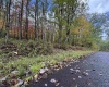 Lot 175 Aster Drive, Terra Alta, West Virginia 26764, ,Lots/land,For Sale,Aster,10161987