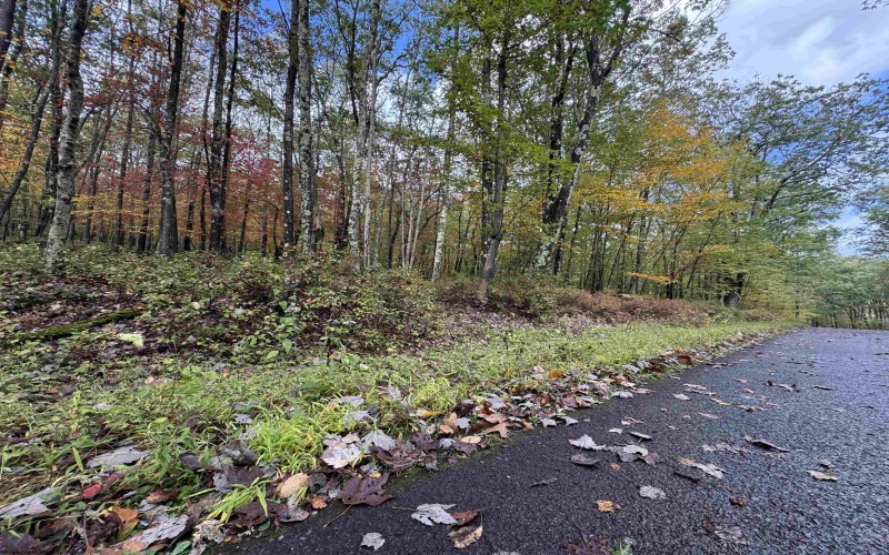 Lot 175 Aster Drive, Terra Alta, West Virginia 26764, ,Lots/land,For Sale,Aster,10161987