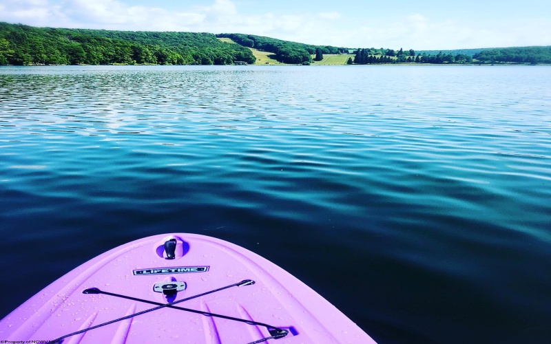 Lot 175 Aster Drive, Terra Alta, West Virginia 26764, ,Lots/land,For Sale,Aster,10161987