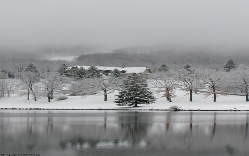 Lot 175 Aster Drive, Terra Alta, West Virginia 26764, ,Lots/land,For Sale,Aster,10161987