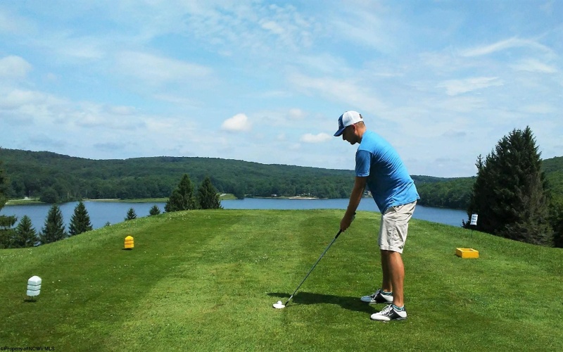 Lot 175 Aster Drive, Terra Alta, West Virginia 26764, ,Lots/land,For Sale,Aster,10161987