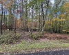 Lot 175 Aster Drive, Terra Alta, West Virginia 26764, ,Lots/land,For Sale,Aster,10161987