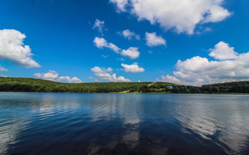 Lot 175 Aster Drive, Terra Alta, West Virginia 26764, ,Lots/land,For Sale,Aster,10161987