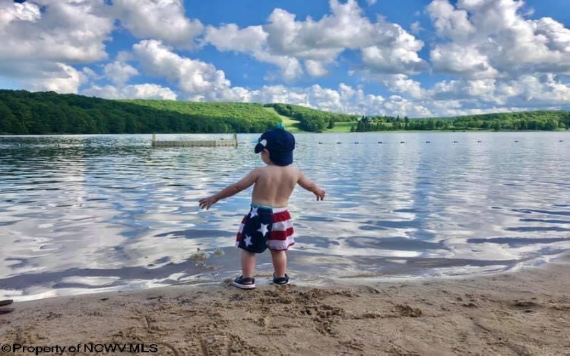 Lot 175 Aster Drive, Terra Alta, West Virginia 26764, ,Lots/land,For Sale,Aster,10161987