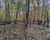 Lot 175 Aster Drive, Terra Alta, West Virginia 26764, ,Lots/land,For Sale,Aster,10161987
