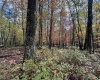 Lot 175 Aster Drive, Terra Alta, West Virginia 26764, ,Lots/land,For Sale,Aster,10161987
