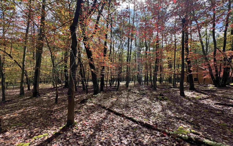 Lot 175 Aster Drive, Terra Alta, West Virginia 26764, ,Lots/land,For Sale,Aster,10161987