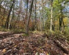 Lot 175 Aster Drive, Terra Alta, West Virginia 26764, ,Lots/land,For Sale,Aster,10161987