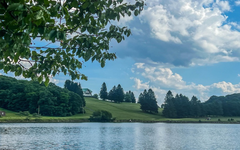 Lot 175 Aster Drive, Terra Alta, West Virginia 26764, ,Lots/land,For Sale,Aster,10161987