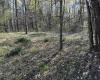 TBD Camp Ground Road, Tunnelton, West Virginia 26444, ,Lots/land,For Sale,Camp Ground,10157225